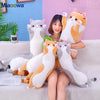 Cute Soft Long Cat Plush Toy