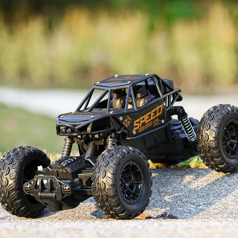 Mountain Climbing monster 4WD remote control car 1:16